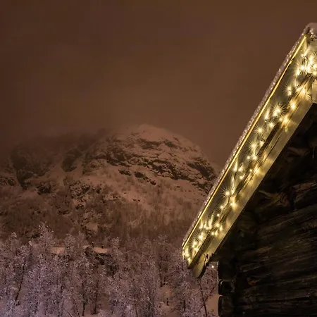 Skigaarden * Hemsedal