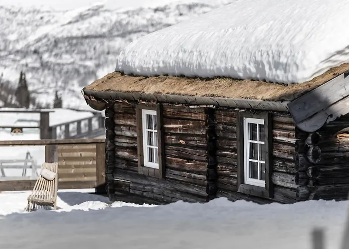 Skigaarden *