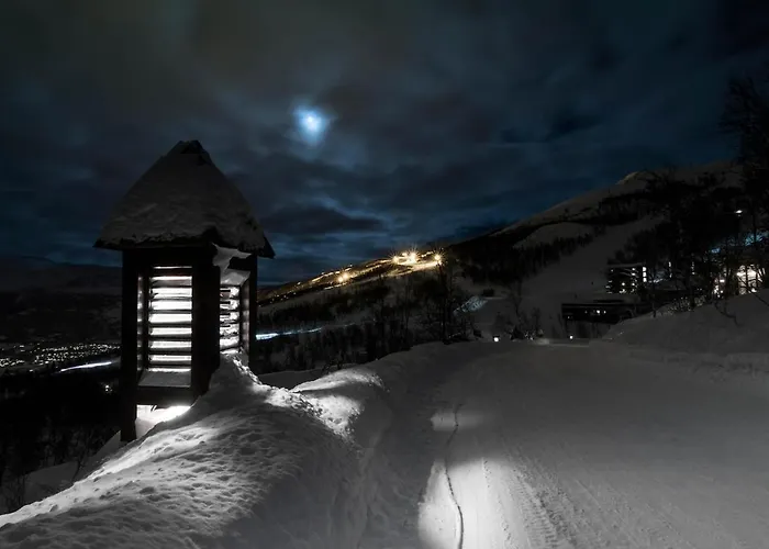 Skigaarden * Hemsedal