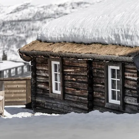 Skigaarden *